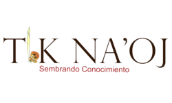 TikLogo PNG Transparencia (1)